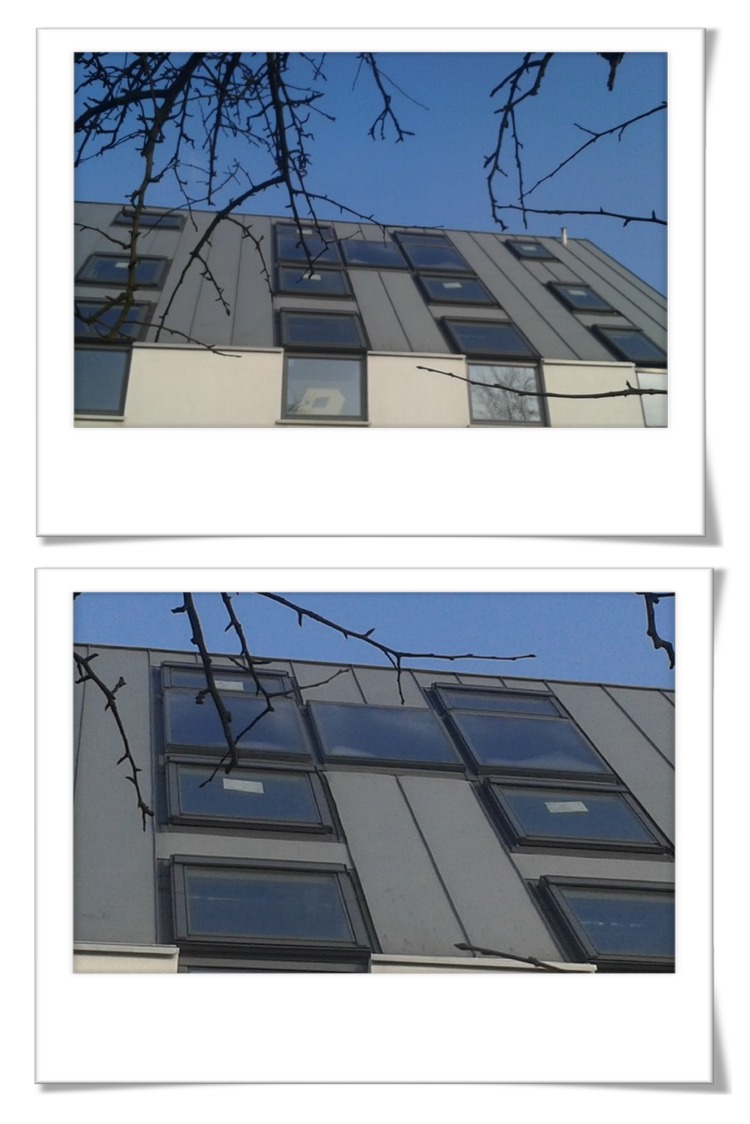 Fasada budynku z licznymi oknami dachowymi, widziana z dołu pod kątem, z gałęziami drzewa w kadrze. Szara elewacja, błękitne niebo w tle.