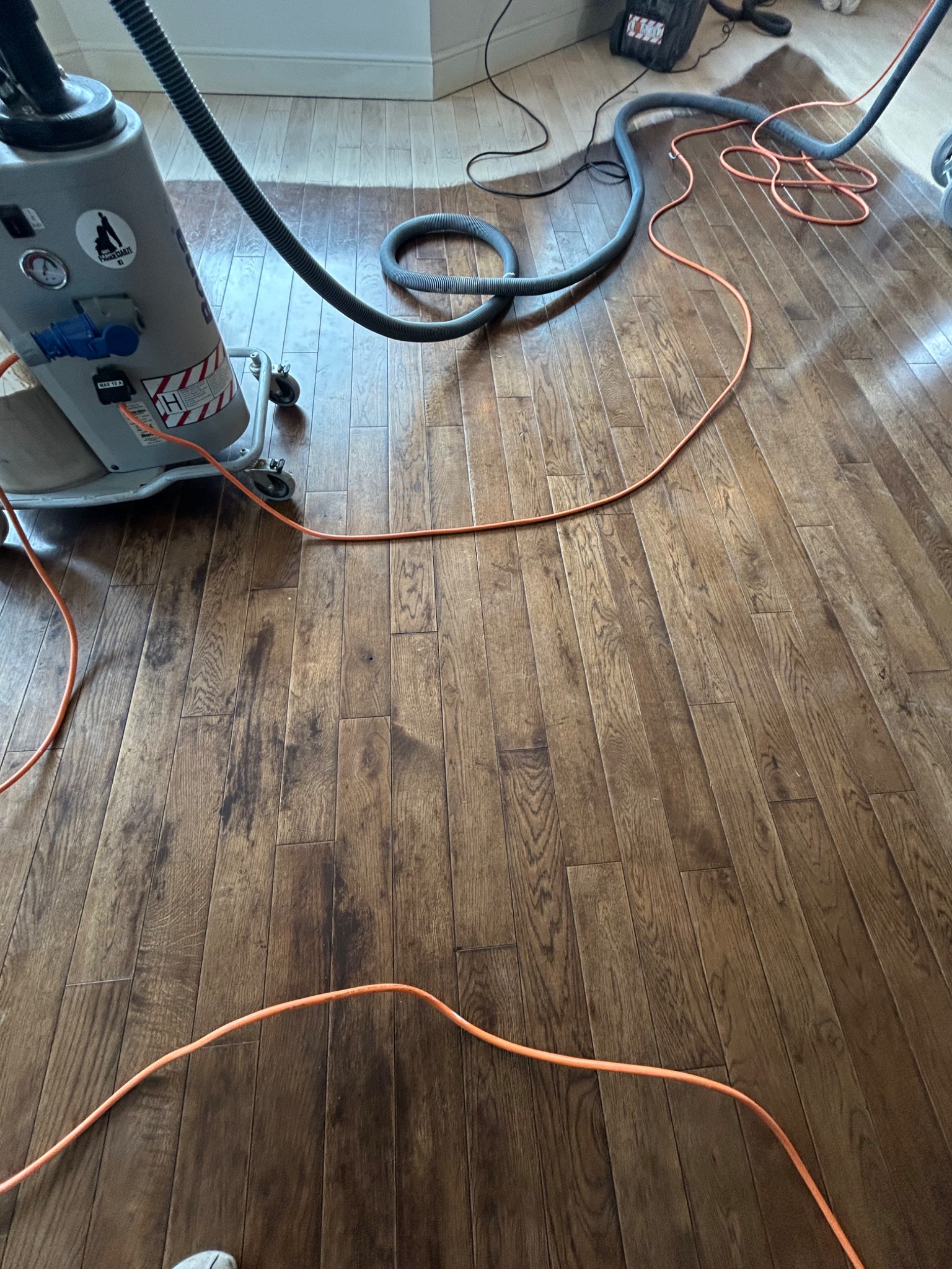 Cyklinowanie parkietu dębowego maszyną z odkurzaczem. Widoczne przewody i wąż ssący. Podłoga po obróbce, z wyraźnym rysunkiem drewna i matowym wykończeniem.
