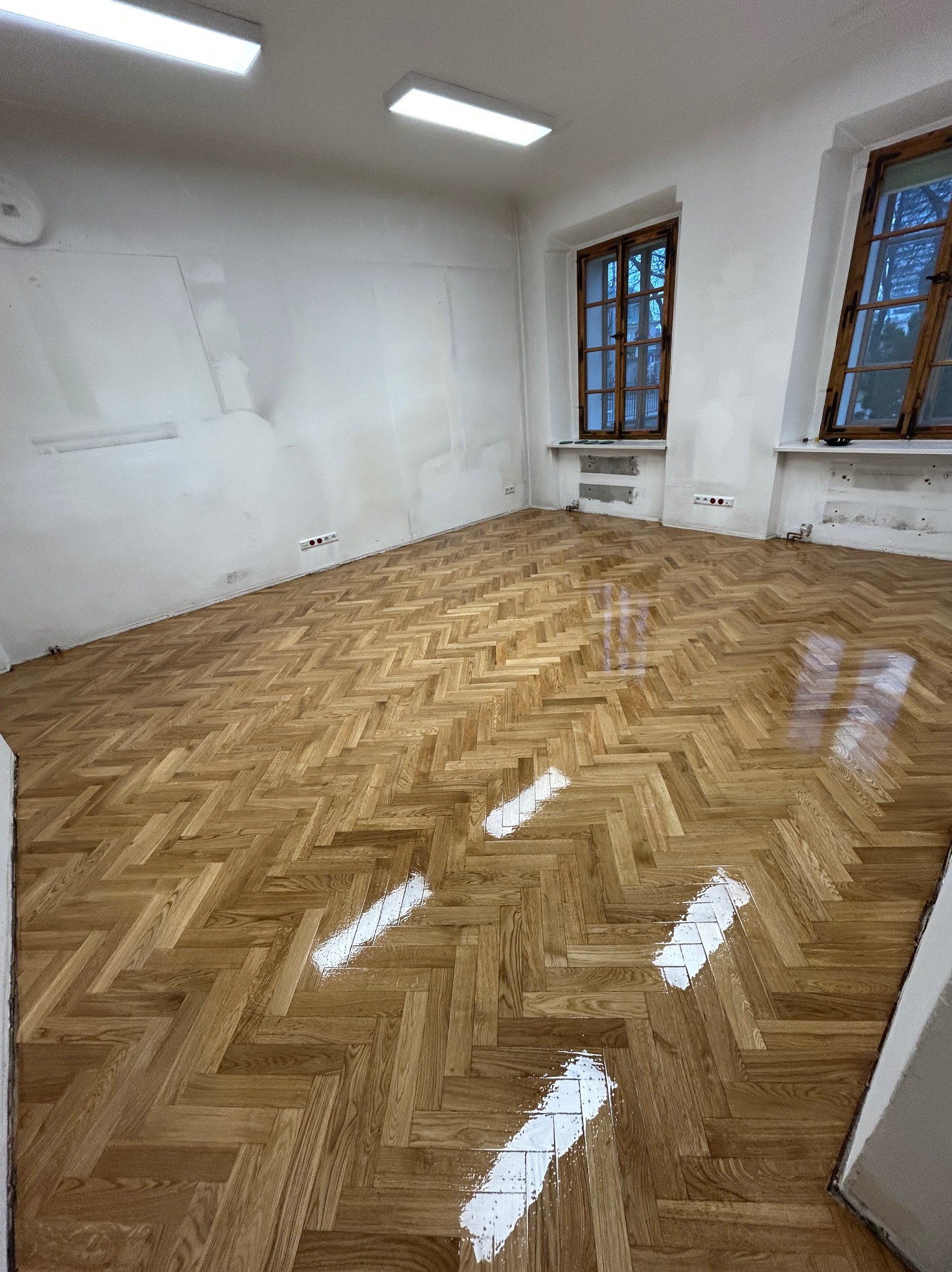 Połyskująca, jasna podłoga parkietowa ułożona w jodełkę w przestronnym pokoju z dwoma oknami. Świeżo nałożony lakier odbija światło lamp sufitowych.