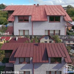 CEZ-ART Mycie i Malowanie dachów - 