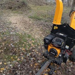 Wycinka drzew Gliwice 1