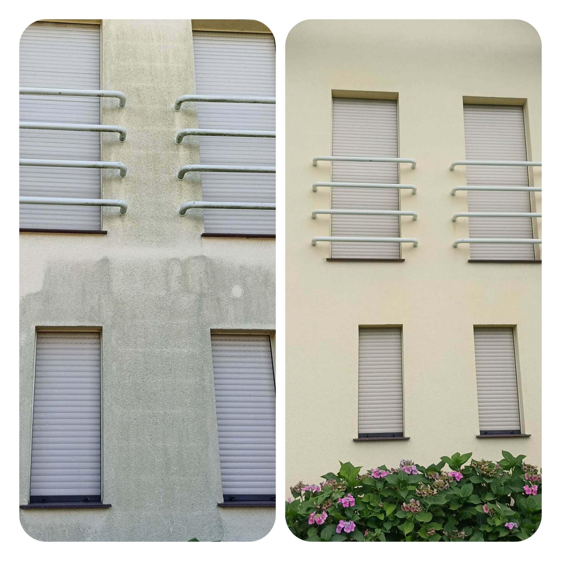 Porównanie elewacji budynku przed i po czyszczeniu, widoczne różnice w kolorze i czystości, z detalami architektonicznymi i roślinnością u dołu.