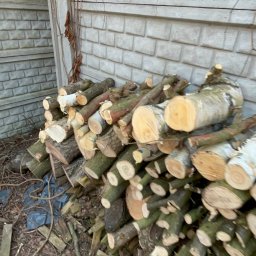 GreenCut - Zawsze zostawiamy po sobie porzadek :)