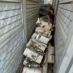 GreenCut - Stos pociętych pni brzozy ułożony w wąskim przejściu między betonowymi panelami ogrodzenia. Widoczne gałęzie i resztki po wycince.