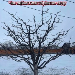 Zakładanie ogrodów Wrocław 3