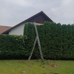 Zakładanie ogrodów Wrocław 4