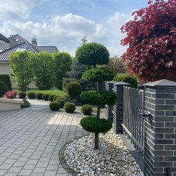 VlaMaks - Ogród z formowanymi krzewami i drzewami, wyłożony kamieniami i kostką brukową. Czerwony klon palmowy w tle, brama z ceglanymi słupkami.