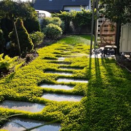 VlaMaks - Ścieżka z płyt w ogrodzie, porośnięta niską, gęstą roślinnością. W tle dom z ciemnym dachem i drzewa. Słońce prześwieca przez korony drzew.