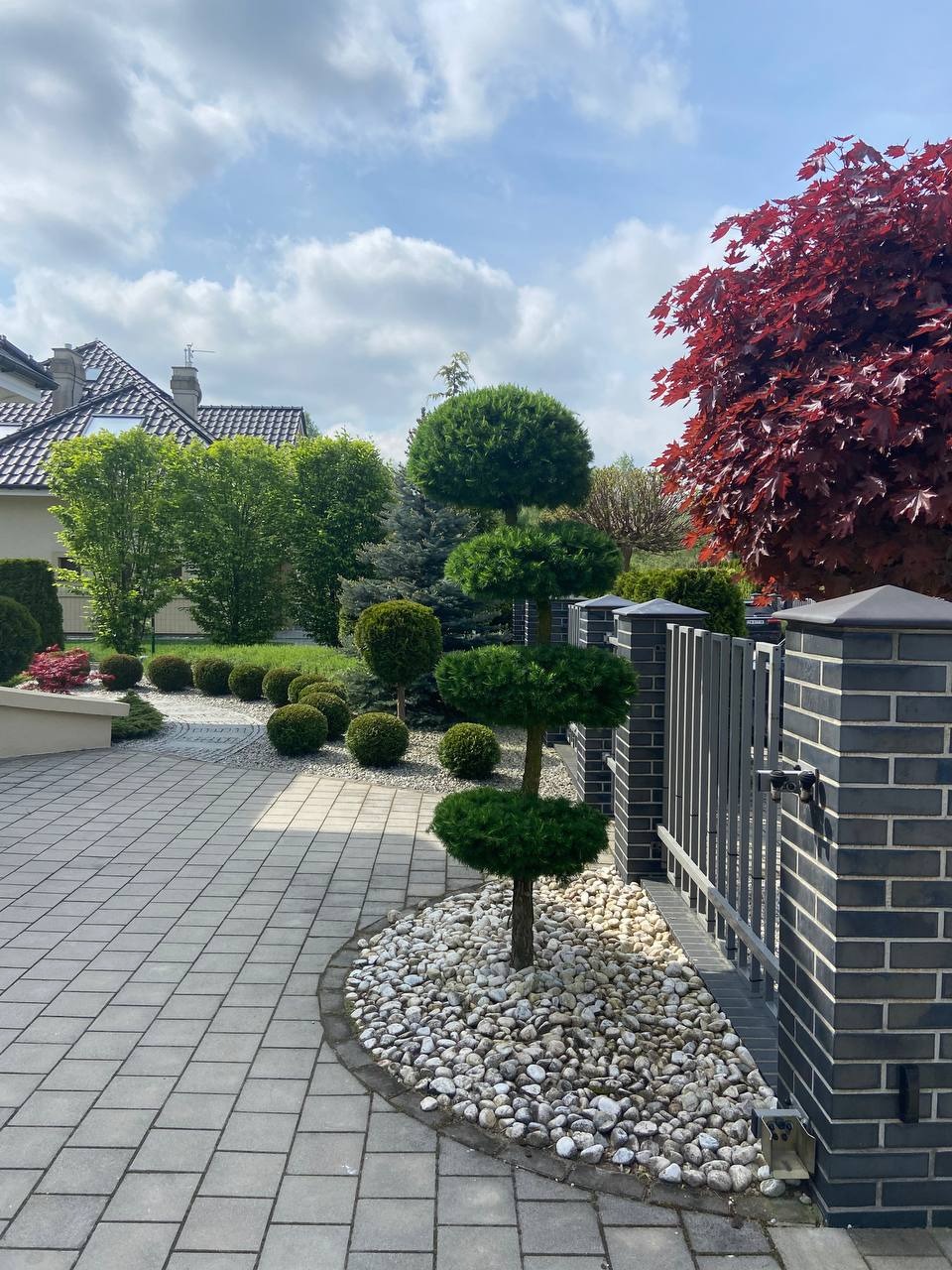 Ogród z formowanymi krzewami i drzewami, wyłożony kamieniami i kostką brukową. Czerwony klon palmowy w tle, brama z ceglanymi słupkami.