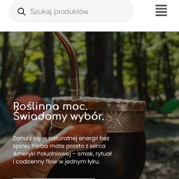 Tworzenie stron internetowych Gdańsk 3