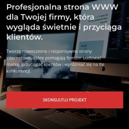 Tworzenie stron internetowych Gdańsk 4
