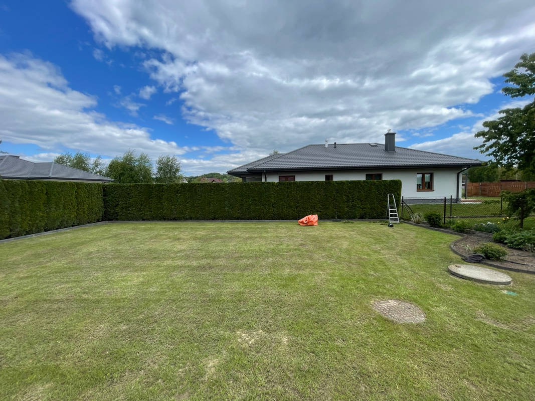 Równy, zielony żywopłot z tui szmaragd na tle domu jednorodzinnego i błękitnego nieba z chmurami. Na trawniku leży pomarańczowy worek i stoi drabina.