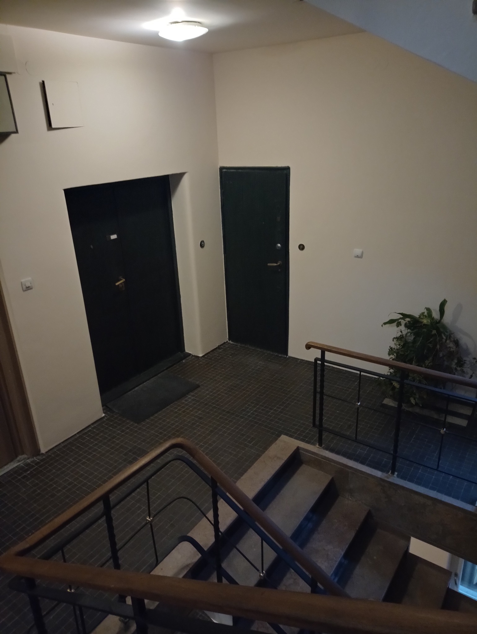 Klatka schodowa w bloku z dwoma drzwiami wejściowymi, wykończona ciemną terakotą. Widoczne schody z drewnianą barierką i roślina doniczkowa. Oświetlenie sufitowe.