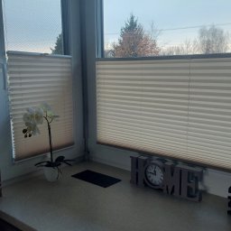 HIT PLUS - Beżowe plisy okienne zamontowane w oknach, z dekoracjami na parapecie: kwiat w doniczce i napis HOME z zegarem. Widok na zewnątrz przez okno.