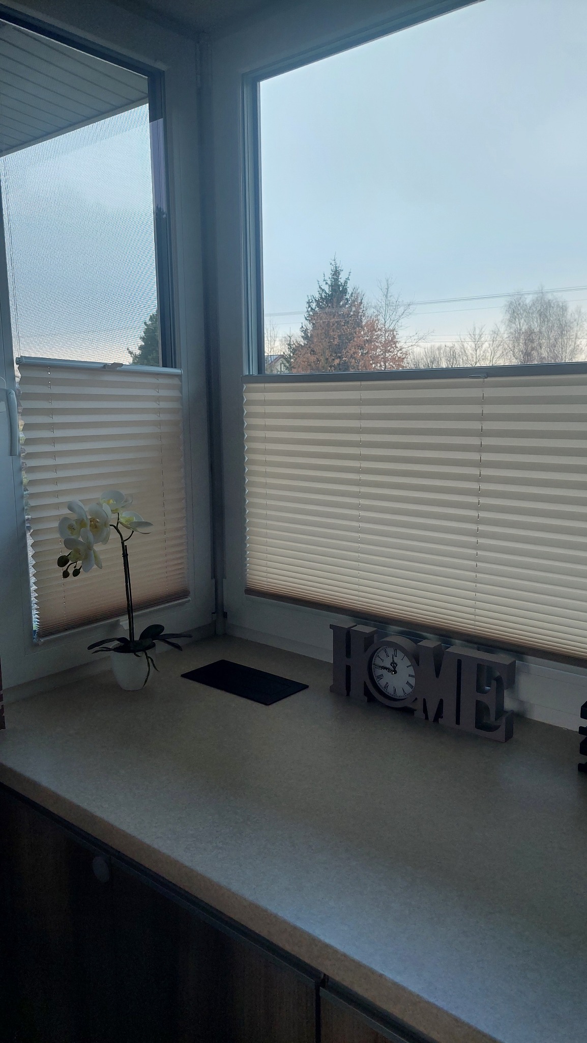 Beżowe plisy okienne zamontowane w oknach, z dekoracjami na parapecie: kwiat w doniczce i napis HOME z zegarem. Widok na zewnątrz przez okno.