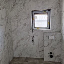 Glazurnik Krążkowy 2