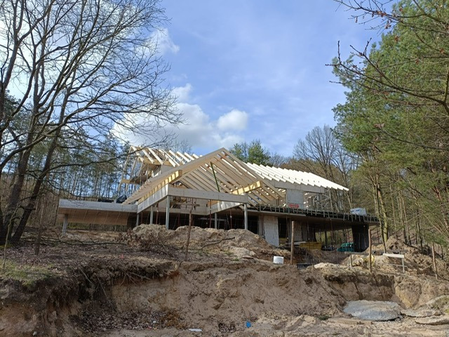 Surowy stan domu szkieletowego w lesie, z widoczną konstrukcją dachu i ścian. Jasne drewno kontrastuje z ziemistym otoczeniem i błękitnym niebem.