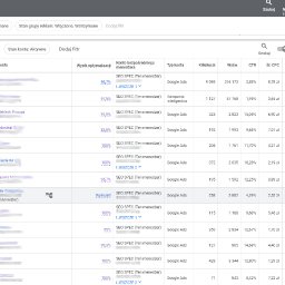 Prowadzę liczne kampanie Google Ads