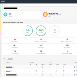 Mnóstwo stron i fraz kluczowych w portfolio.