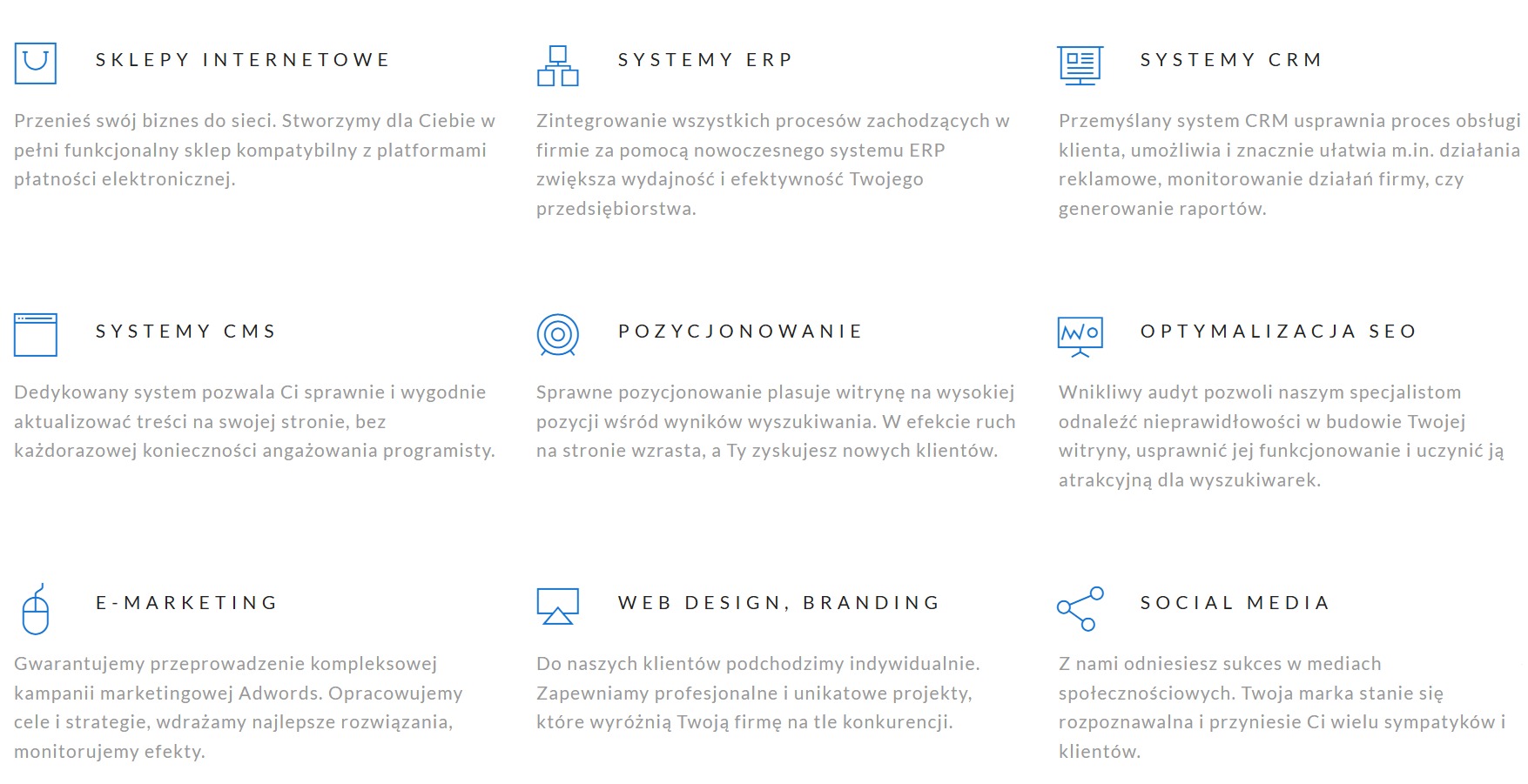 Grafika prezentująca ofertę usług internetowych: sklepy, ERP, CRM, CMS, pozycjonowanie, SEO, e-marketing, web design, branding, social media. Minimalistyczne ikony i krótkie opisy.