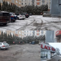 Pielęgnacja ogrodów Szczecin 1