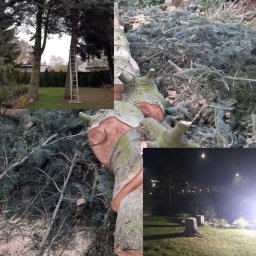 Pielęgnacja ogrodów Szczecin 3