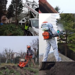 Pielęgnacja ogrodów Szczecin 4