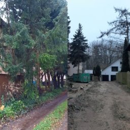TMS INDUSTRIES SPÓŁKA Z OGRANICZONĄ ODPOWIEDZIALNOŚCIĄ - Zdjęcie typu 'przed i po' wycinki drzew: po lewej stronie gęste drzewa i krzewy, po prawej teren po wycince z widocznymi pniakami i kontenerem na odpady zielone.