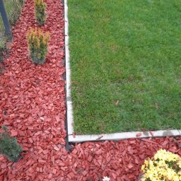 TMS INDUSTRIES SPÓŁKA Z OGRANICZONĄ ODPOWIEDZIALNOŚCIĄ - Rabata z czerwoną korą, młodymi iglakami i kwitnącymi chryzantemami, oddzielona od trawnika betonowym obrzeżem. Widok z góry, po pielęgnacji.