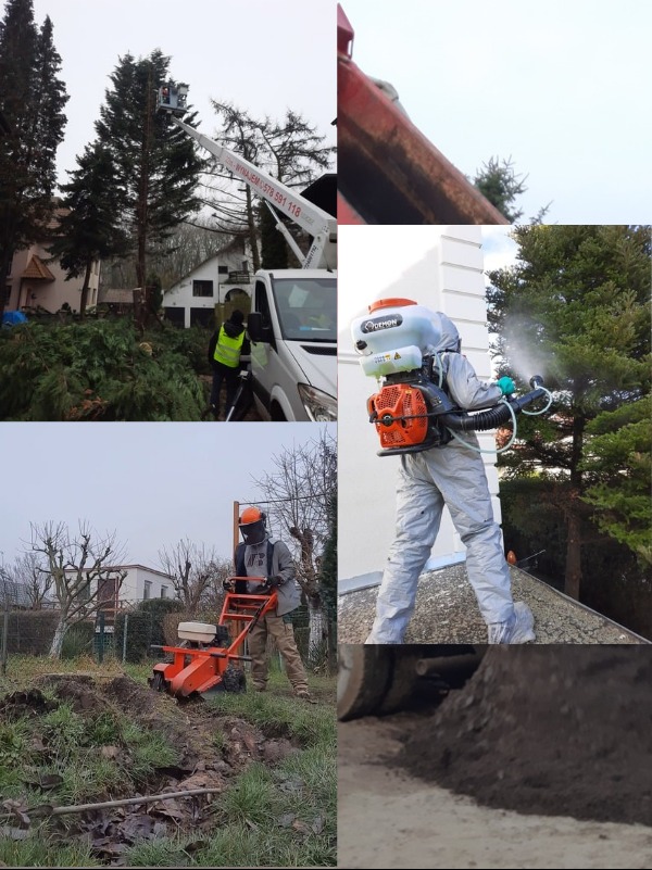 Kompozycja zdjęć: wycinka drzew z podnośnika, oprysk drzewa, niwelacja terenu glebogryzarką. Różne etapy prac ogrodniczych i pielęgnacyjnych w pochmurny dzień.