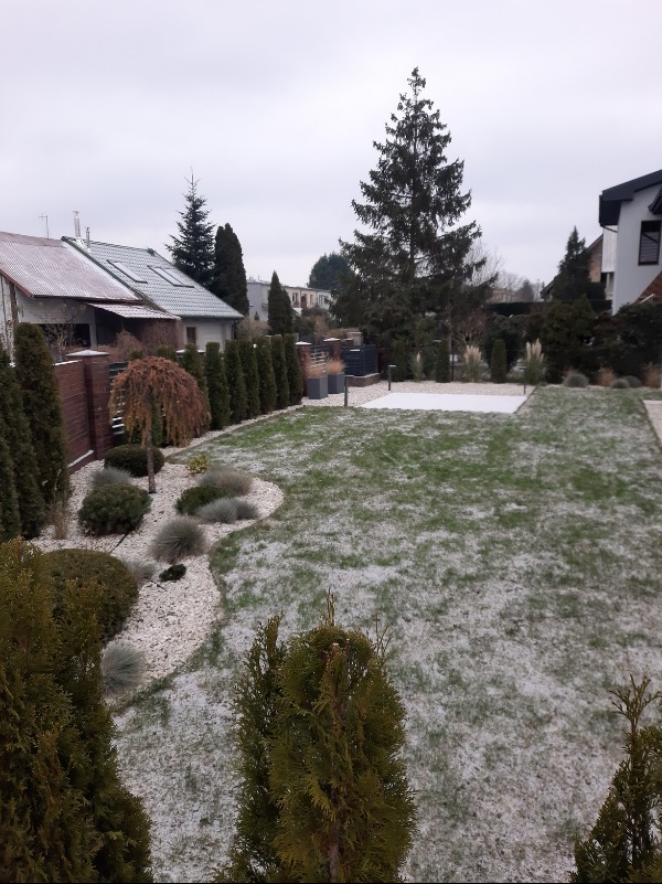 Zimowy ogród w Szczecinie: trawnik lekko przyprószony śniegiem, ozdobne krzewy i drzewa iglaste wzdłuż ogrodzenia. Widok z góry na zadbany teren.