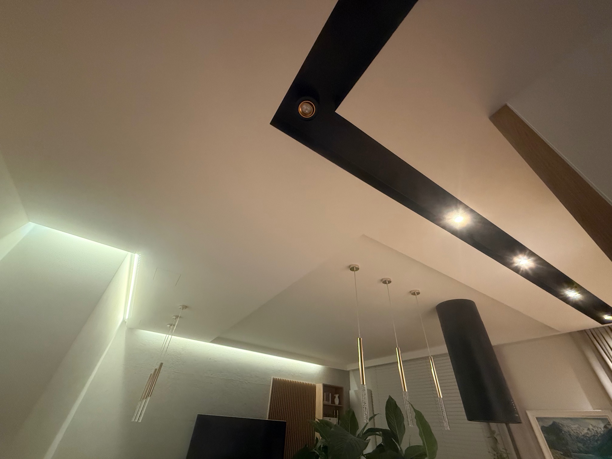 Nowoczesny sufit z oświetleniem LED i czarnymi elementami dekoracyjnymi. Widoczne wiszące lampy i fragment wnętrza z roślinami.