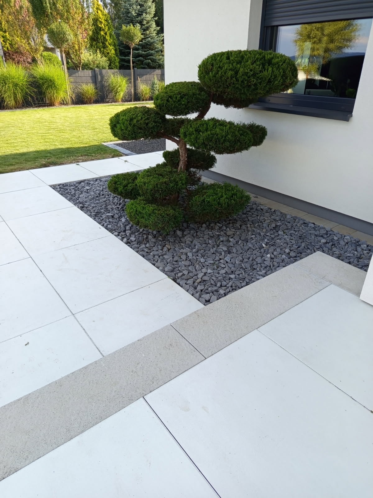 Ogród w stylu japońskim: formowane drzewko bonsai na tle białych płyt tarasowych i szarych kamieni. Minimalistyczny design, nowoczesna architektura.