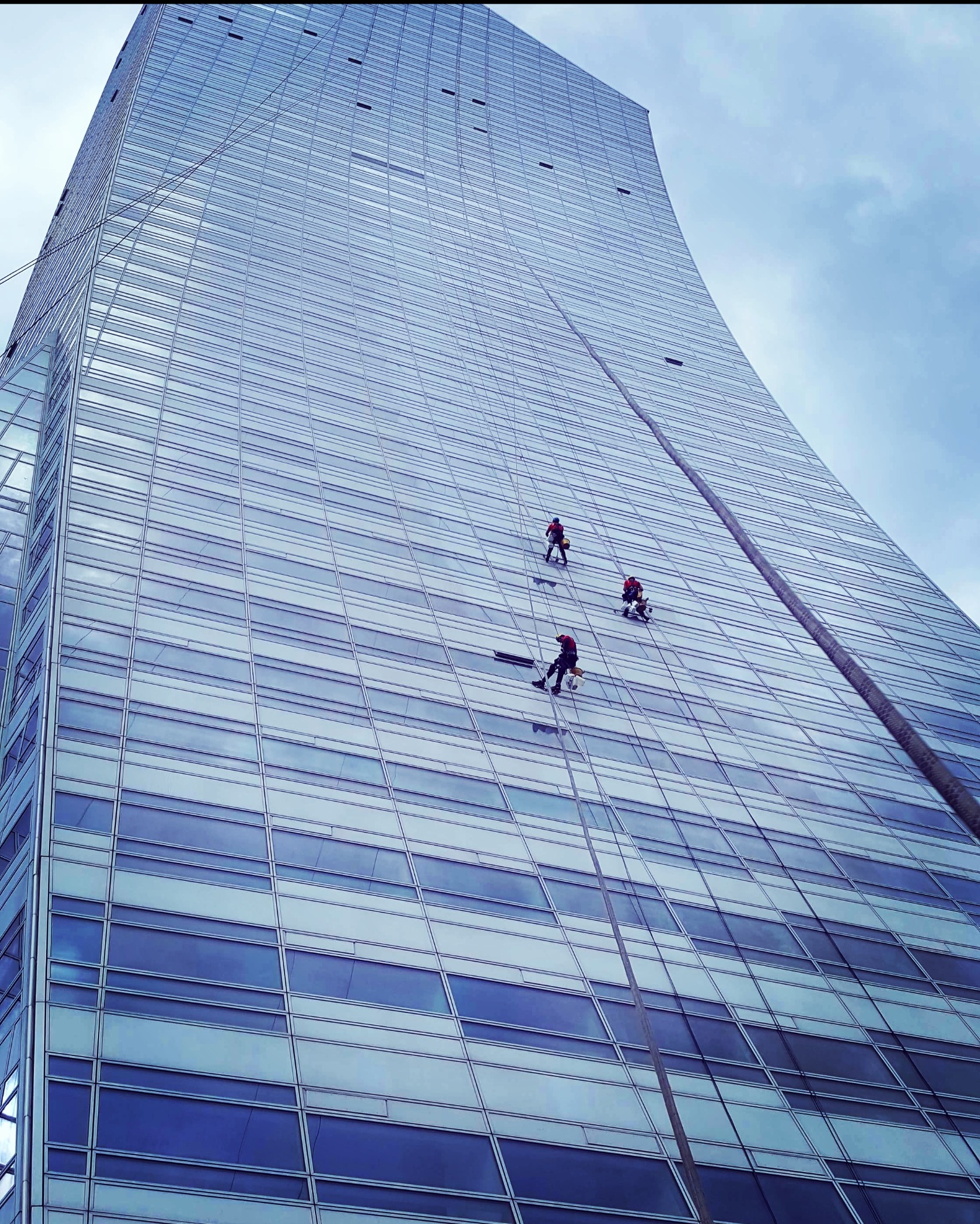 Trzech alpinistów w czerwonych kombinezonach, na linach, myje szklaną fasadę wysokiego biurowca o nietypowym, zakrzywionym kształcie. Widok z dołu, pochmurne niebo.