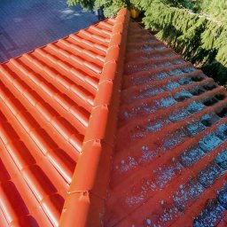 Mokra Robota Łukasz Kozłowski - 10 letnia dachówka ceramiczna. Mocne wykwity porostów, mchu, plamy sadzy oraz żywicy z sosny