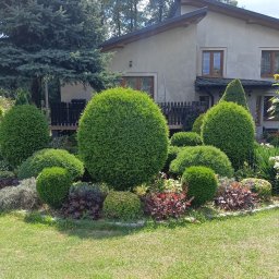 GREENGARDEN Łukasz Jaskólski - Ogród przydomowy z kulistymi krzewami i drzewami iglastymi, rabaty kwiatowe, trawnik. W tle dom z drewnianymi oknami i zadaszony taras.