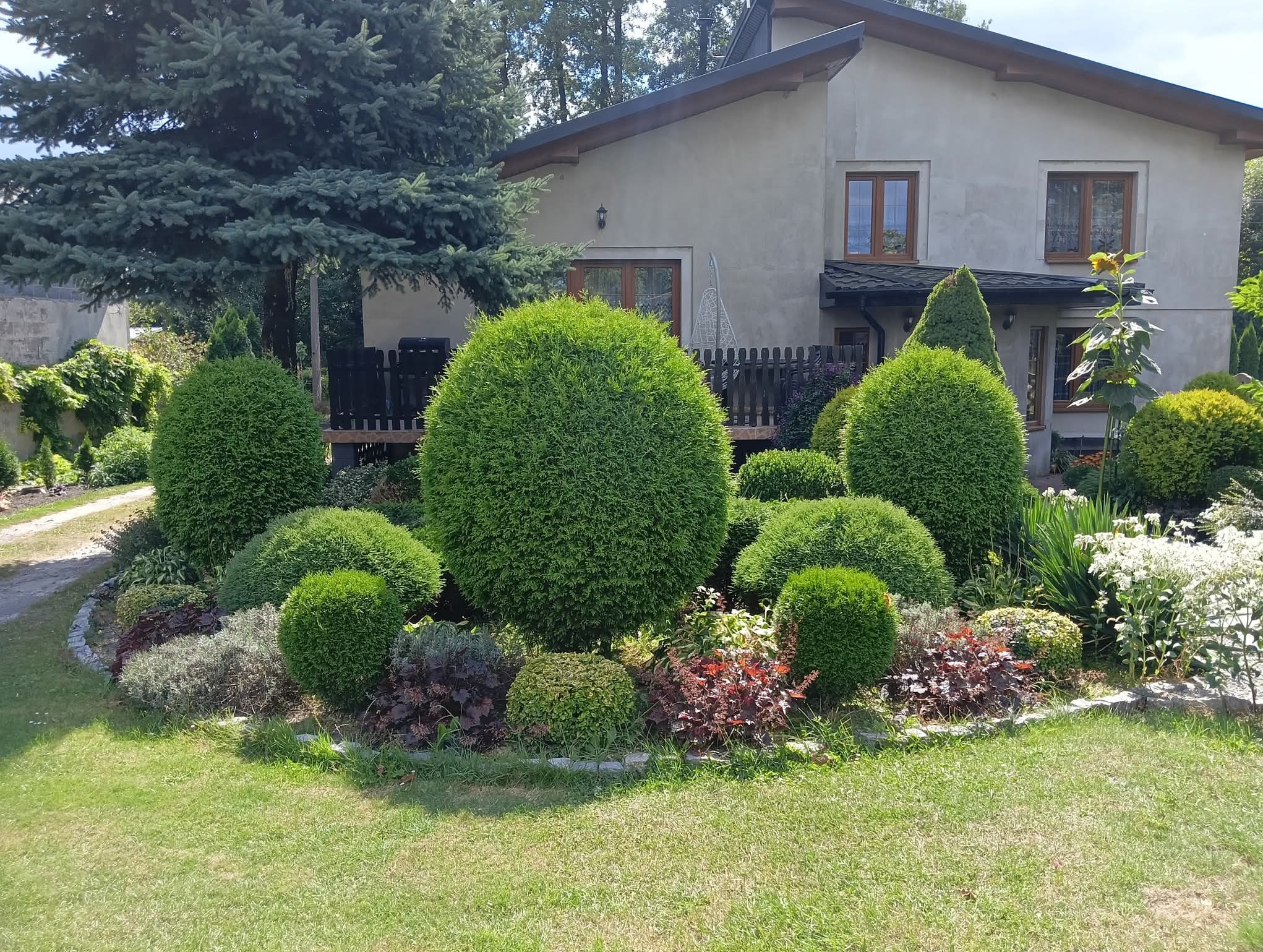 Ogród przydomowy z kulistymi krzewami i drzewami iglastymi, rabaty kwiatowe, trawnik. W tle dom z drewnianymi oknami i zadaszony taras.