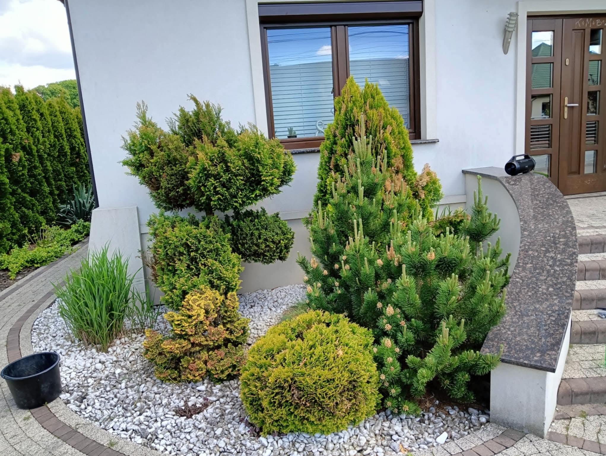 Ogród z ozdobnymi krzewami iglastymi i trawami, wysypany białym kamieniem. Widoczne okno i fragment schodów wejściowych do domu.