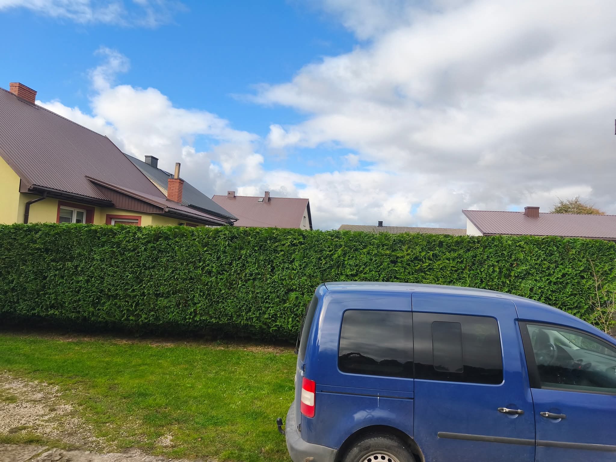 Gęsty, zielony żywopłot oddzielający posesje, z błękitnym samochodem dostawczym na pierwszym planie i domami w tle pod błękitnym niebem z chmurami.