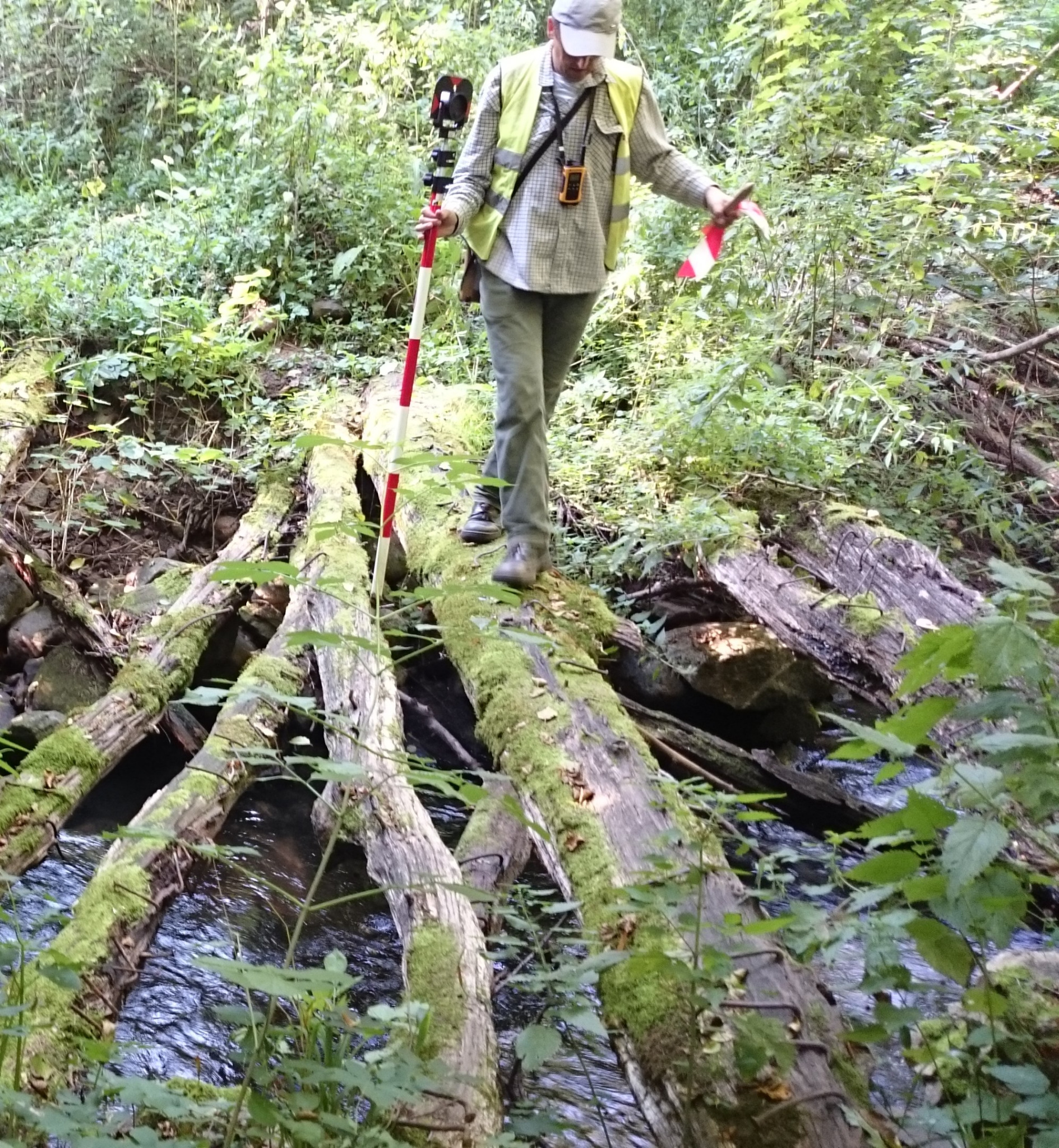 Praca w terenie: Osoba z tyczką i tachimetrem przechodzi przez zwalone, omszałe drzewa nad strumieniem w Kołobrzegu. Trudne warunki pomiarowe.
