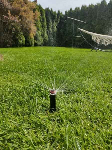 Działający zraszacz wynurzalny na trawniku, w tle tuje i hamak. System nawadniania w ogrodzie, trawa w kroplach wody.