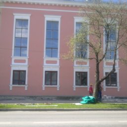 Wilk - Różowa fasada budynku z białymi obramowaniami okien, częściowo zasłonięta przez drzewo. Dwóch robotników stoi obok worków z materiałami budowlanymi.