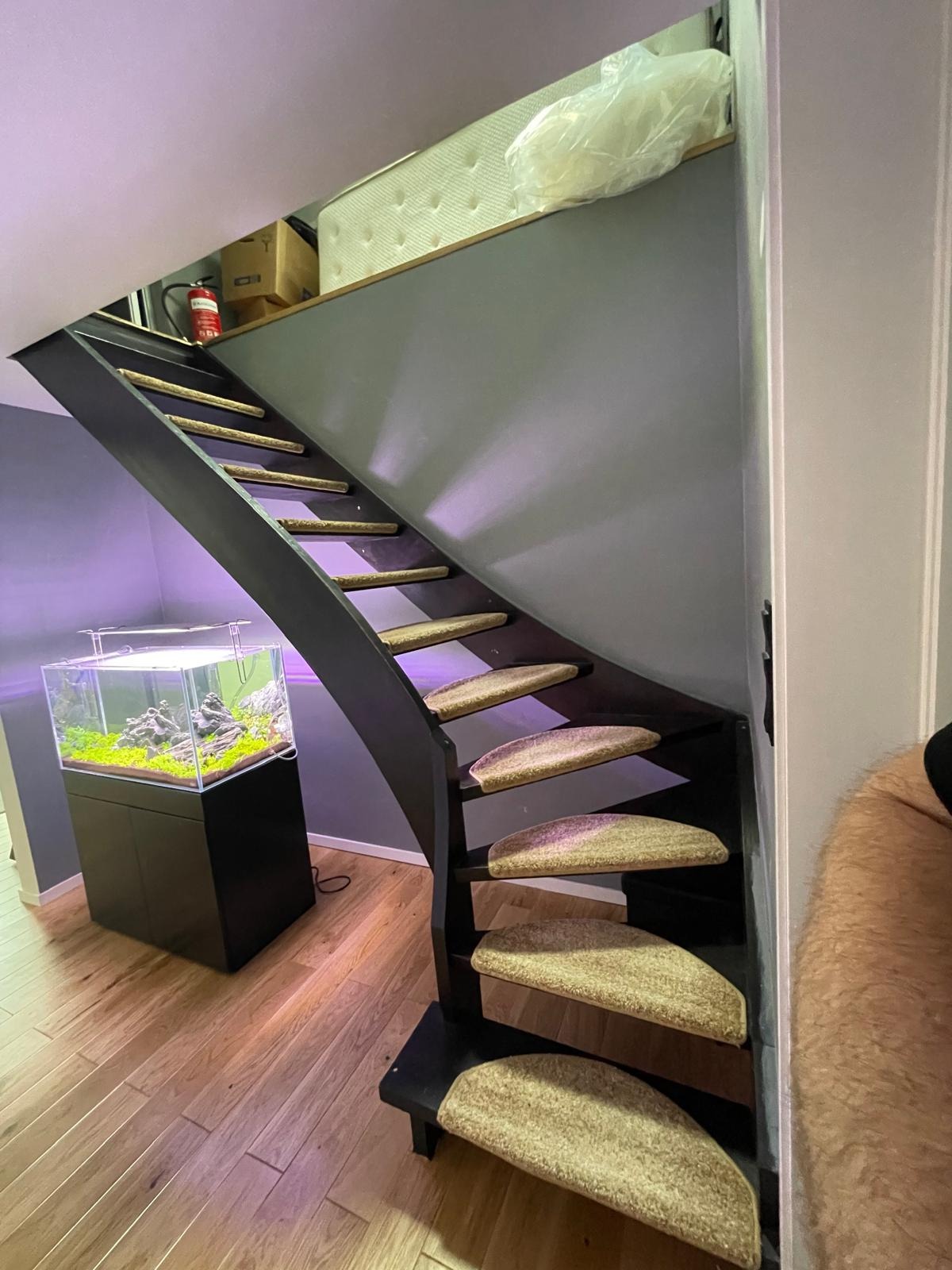 Czarne schody z dywanowymi nakładkami na stopniach, obok akwarium z roślinami. Na górze materac i gaśnica. Nietypowe zagospodarowanie przestrzeni pod schodami.