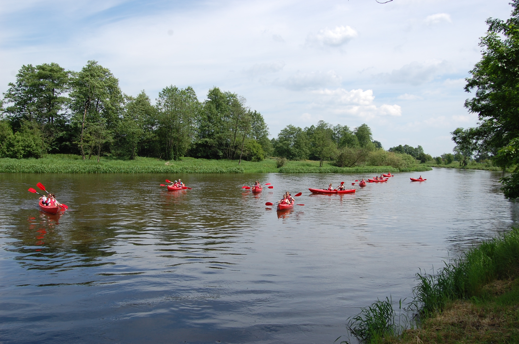 Spływ kajakowy rzeką, liczne czerwone kajaki z osobami na tle zieleni brzegów i błękitnego nieba z chmurami. Aktywna rekreacja na wodzie.
