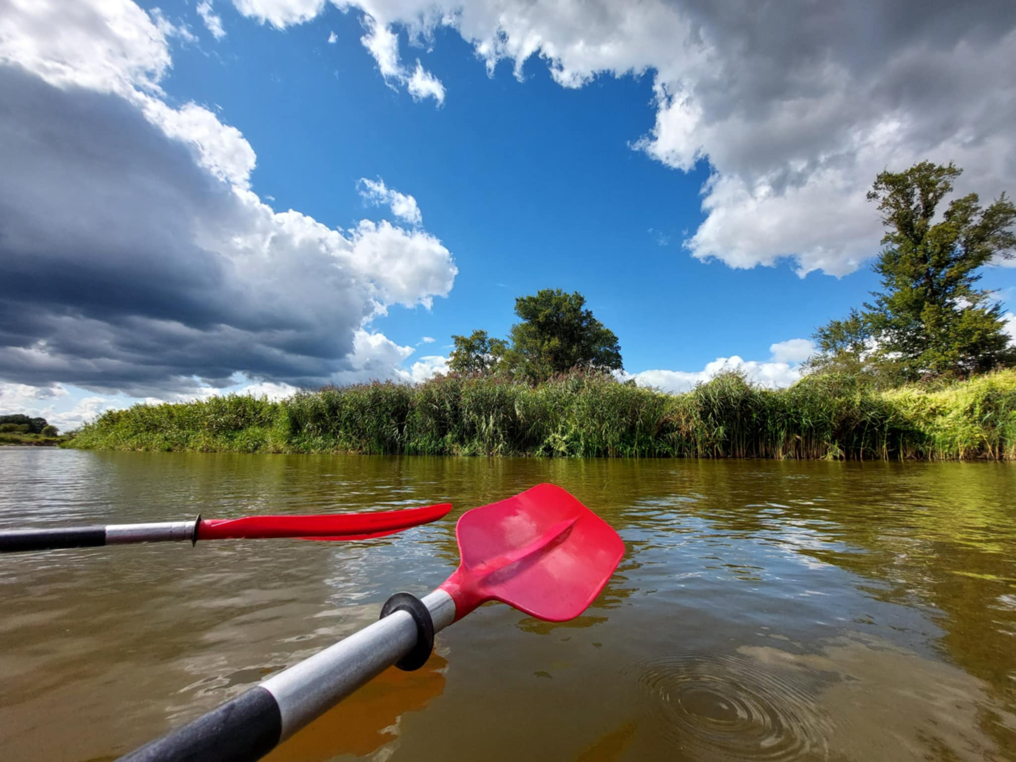 Spływ kajakowy rzeką Wieprz: czerwone wiosło w wodzie, trzciny na brzegu, błękitne niebo z chmurami. Aktywny wypoczynek na łonie natury.