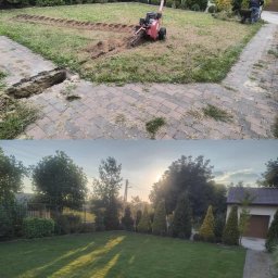 Trawa z rolki Piotrków Trybunalski 4