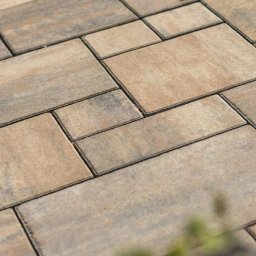 Vasyl Yaskovets - Beżowo-szara kostka brukowa ułożona w regularny wzór, widok z góry, z delikatnym rozmyciem roślinności w dolnej części kadru.