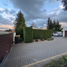 Trawtex - Formowany żywopłot z tuj szmaragd, oddzielający posesję od ulicy, widoczny z brukowanego podjazdu. W tle zaparkowany biały van i pochmurne niebo.