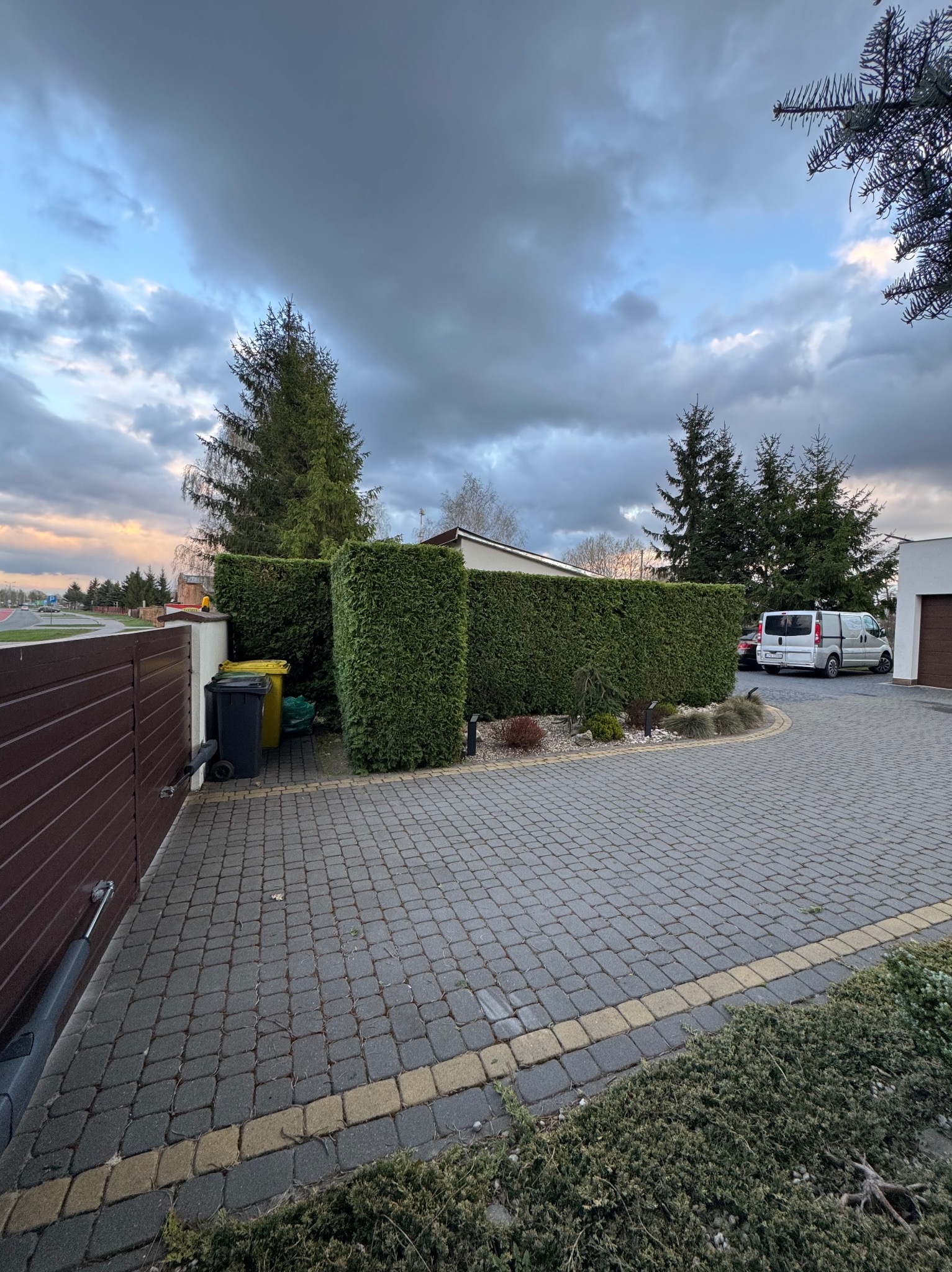 Formowany żywopłot z tuj szmaragd, oddzielający posesję od ulicy, widoczny z brukowanego podjazdu. W tle zaparkowany biały van i pochmurne niebo.