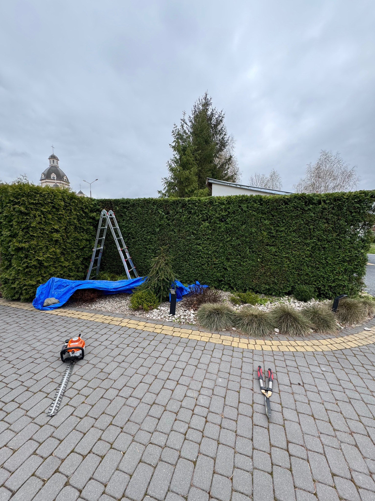 Przygotowania do przycinania żywopłotu: drabina oparta o zielony żywopłot, rozłożona niebieska plandeka i narzędzia do cięcia na kostce brukowej. W tle budynek z kopułą.